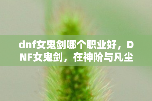 dnf女鬼剑哪个职业好,DNF女鬼剑,在神阶与凡尘的悖论中,灵魂震颤的自由抉择 dnf女鬼剑哪个职业好,DNF女鬼剑,在神阶与凡尘的悖论中,灵魂震颤的自由抉择