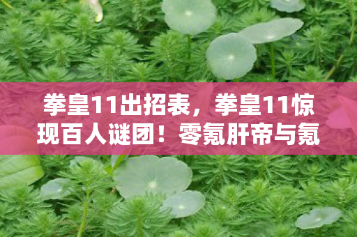 拳皇11出招表,拳皇11惊现百人谜团!零氪肝帝与氪金大佬的破防对决 拳皇11出招表,拳皇11惊现百人谜团!零氪肝帝与氪金大佬的破防对决