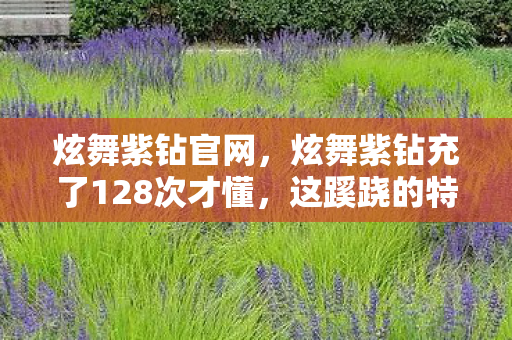 炫舞紫钻官网，炫舞紫钻充了128次才懂，这蹊跷的特权背后，竟让我后背发凉