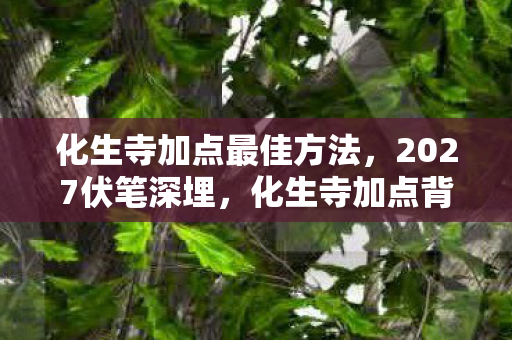 化生寺加点最佳方法，2027伏笔深埋，化生寺加点背后的三年守候，鼻子一酸谁懂啊