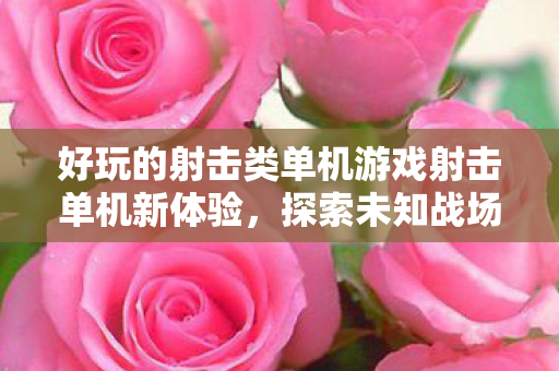 好玩的射击类单机游戏射击单机新体验，探索未知战场，探索未知战场，射击单机新体验