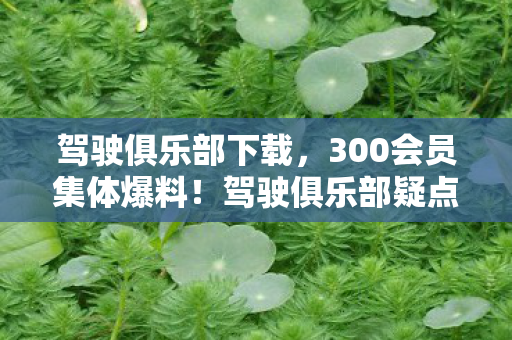 驾驶俱乐部下载，300会员集体爆料！驾驶俱乐部疑点重重，老玩家绷不住了