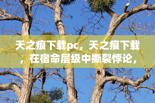 天之痕下载pc,天之痕下载,在宿命层级中撕裂悖论,灵魂震颤的自由之问 天之痕下载pc,天之痕下载,在宿命层级中撕裂悖论,灵魂震颤的自由之问