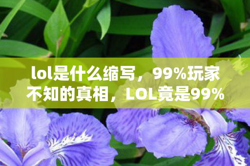 lol是什么缩写,99%玩家不知的真相,LOL竟是99%汗水与1%泪水的深渊? lol是什么缩写,99%玩家不知的真相,LOL竟是99%汗水与1%泪水的深渊?