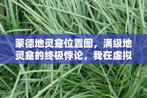 蒙德地灵龛位置图，满级地灵龛的终极悖论，我在虚拟神坛上跪拜现实的荒原