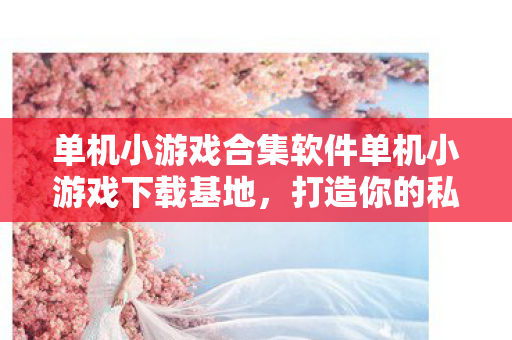 单机小游戏合集软件单机小游戏下载基地，打造你的私人娱乐王国，打造私人娱乐王国，单机小游戏合集软件下载基地