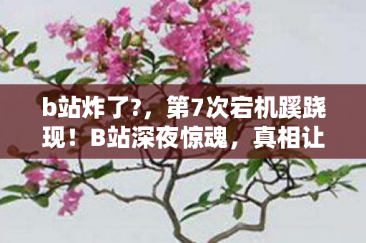 b站炸了?，第7次宕机蹊跷现！B站深夜惊魂，真相让百万用户后背发凉