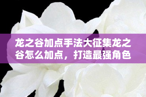 龙之谷加点手法大征集龙之谷怎么加点，打造最强角色的核心策略，龙之谷，打造最强角色，核心加点策略全解析