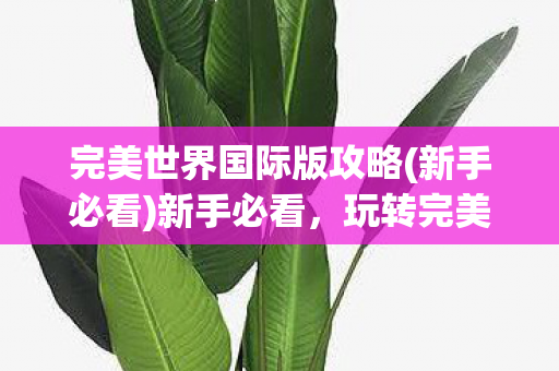 完美世界国际版攻略(新手必看)新手必看,玩转完美世界国际版攻略 完美世界国际版攻略(新手必看)新手必看,玩转完美世界国际版攻略