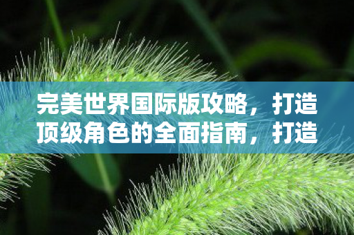 完美世界国际版攻略,打造顶级角色的全面指南,打造顶级角色,完美世界国际版全面攻略 完美世界国际版攻略,打造顶级角色的全面指南,打造顶级角色,完美世界国际版全面攻略