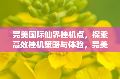 完美国际仙界挂机点，探索高效挂机策略与体验，完美国际仙界挂机点，高效挂机策略与体验探索