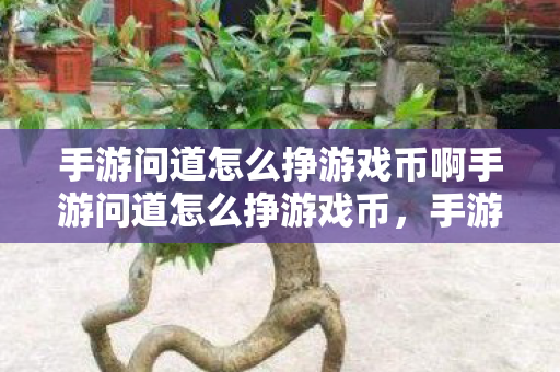 手游问道怎么挣游戏币啊手游问道怎么挣游戏币，手游问道，如何赚取游戏币？