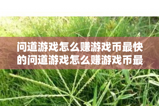 问道游戏怎么赚游戏币最快的问道游戏怎么赚游戏币最快，问道游戏，如何快速赚取游戏币