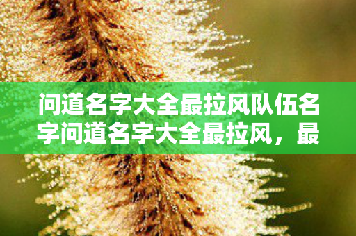 问道名字大全最拉风队伍名字问道名字大全最拉风图片