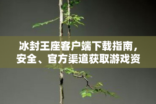 冰封王座客户端下载指南,安全、官方渠道获取游戏资源,如何安全、官方渠道下载冰封王座客户端 冰封王座客户端下载指南,安全、官方渠道获取游戏资源,如何安全、官方渠道下载冰封王座客户端