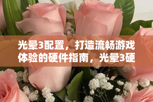 光晕3配置，打造流畅游戏体验的硬件指南，光晕3硬件指南，打造流畅游戏体验
