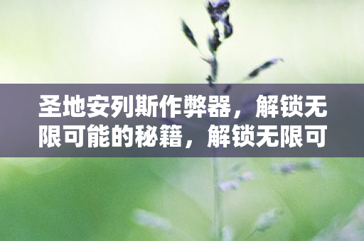 圣地安列斯作弊器,解锁无限可能的秘籍,解锁无限可能,圣地安列斯作弊器秘籍大揭秘 圣地安列斯作弊器,解锁无限可能的秘籍,解锁无限可能,圣地安列斯作弊器秘籍大揭秘