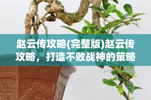 赵云传攻略(完整版)赵云传攻略，打造不败战神的策略与技巧，赵云传，打造不败战神的策略与技巧全攻略