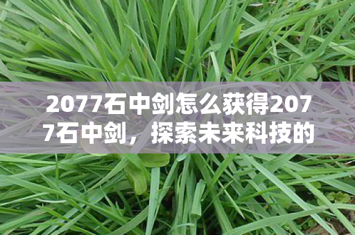 2077石中剑怎么获得2077石中剑,探索未来科技的奇幻之旅,探索未来科技,如何获得2077石中剑的奇幻之旅 2077石中剑怎么获得2077石中剑,探索未来科技的奇幻之旅,探索未来科技,如何获得2077石中剑的奇幻之旅