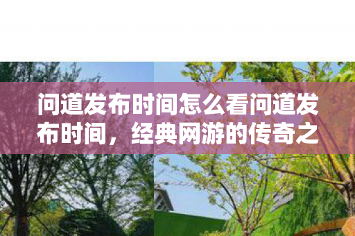 问道发布时间怎么看问道发布时间，经典网游的传奇之路，问道发布时间，经典网游的传奇之路