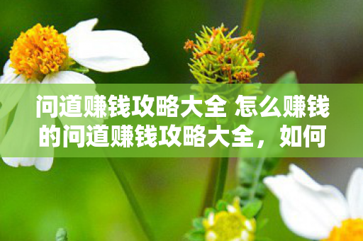 问道赚钱攻略大全 怎么赚钱的问道赚钱攻略大全，如何赚取丰厚收益，问道赚钱攻略，如何赚取丰厚收益