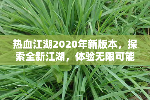 热血江湖2020年新版本,探索全新江湖,体验无限可能,热血江湖2020新版本,探索全新江湖,体验无限可能 热血江湖2020年新版本,探索全新江湖,体验无限可能,热血江湖2020新版本,探索全新江湖,体验无限可能