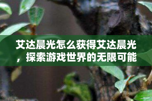 艾达晨光怎么获得艾达晨光，探索游戏世界的无限可能，探索艾达晨光，解锁游戏世界的无限可能