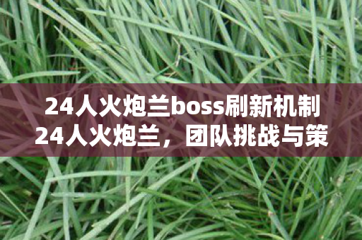 24人火炮兰boss刷新机制24人火炮兰，团队挑战与策略探讨，24人火炮兰，团队挑战与策略解析