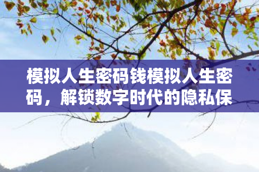 模拟人生密码钱模拟人生密码,解锁数字时代的隐私保护,数字时代下的隐私保护,解锁模拟人生密码 模拟人生密码钱模拟人生密码,解锁数字时代的隐私保护,数字时代下的隐私保护,解锁模拟人生密码