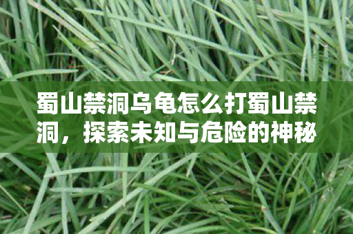 蜀山禁洞乌龟怎么打蜀山禁洞，探索未知与危险的神秘之旅，蜀山禁洞，挑战神秘乌龟，探索未知与危险的神秘之旅
