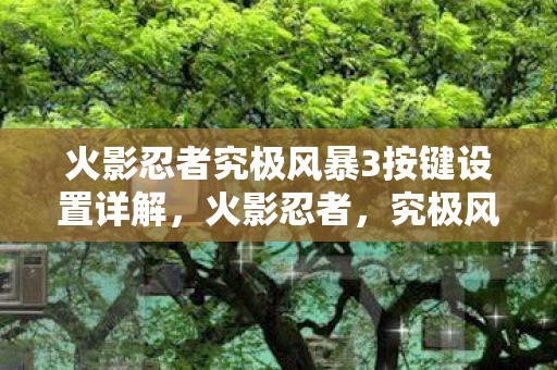 火影忍者究极风暴3按键设置详解,火影忍者,究极风暴3按键设置全解析 火影忍者究极风暴3按键设置详解,火影忍者,究极风暴3按键设置全解析