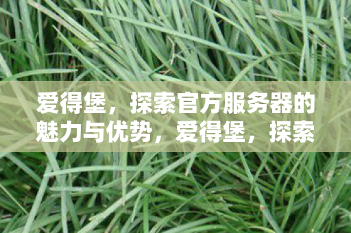 爱得堡，探索官方服务器的魅力与优势，爱得堡，探索官方服务器的魅力与优势