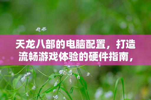 天龙八部的电脑配置,打造流畅游戏体验的硬件指南,天龙八部硬件需求,打造流畅游戏体验的必备配置指南 天龙八部的电脑配置,打造流畅游戏体验的硬件指南,天龙八部硬件需求,打造流畅游戏体验的必备配置指南