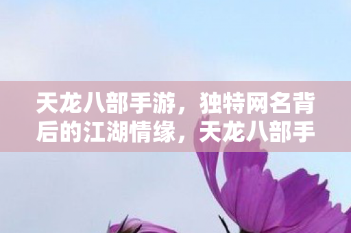 天龙八部手游，独特网名背后的江湖情缘，天龙八部手游独特网名背后的江湖情缘