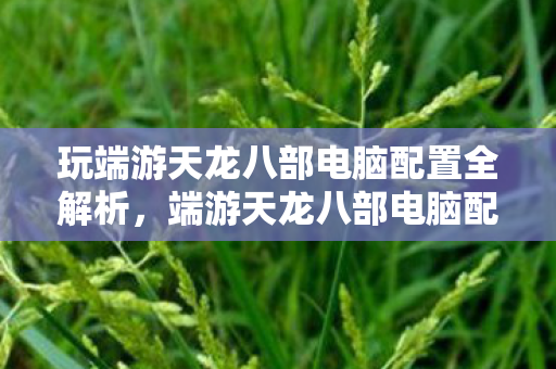 玩端游天龙八部电脑配置全解析，端游天龙八部电脑配置全解析