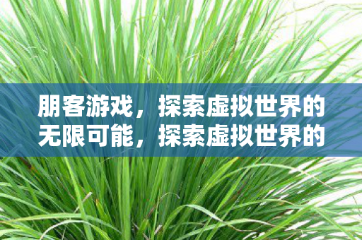 朋客游戏，探索虚拟世界的无限可能，探索虚拟世界的无限可能，朋客游戏