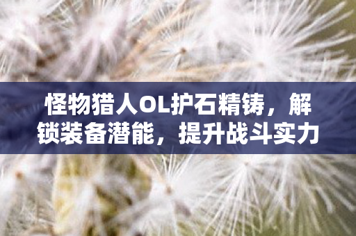 怪物猎人OL护石精铸，解锁装备潜能，提升战斗实力，护石精铸解锁潜能，提升怪物猎人OL战斗实力