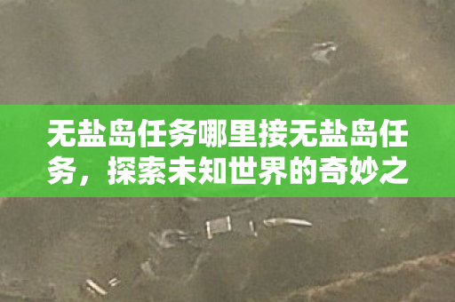 无盐岛任务哪里接无盐岛任务，探索未知世界的奇妙之旅，探索未知世界的奇妙之旅，无盐岛任务揭秘