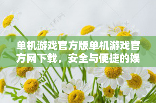 单机游戏官方版单机游戏官方网下载，安全与便捷的娱乐新选择，安全与便捷并存，单机游戏官方网下载成为娱乐新宠