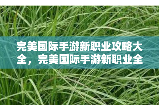 完美国际手游新职业攻略大全，完美国际手游新职业全攻略