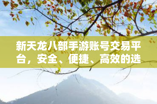 新天龙八部手游账号交易平台,安全、便捷、高效的选择,新天龙八部手游账号交易,首选安全高效平台! 新天龙八部手游账号交易平台,安全、便捷、高效的选择,新天龙八部手游账号交易,首选安全高效平台!