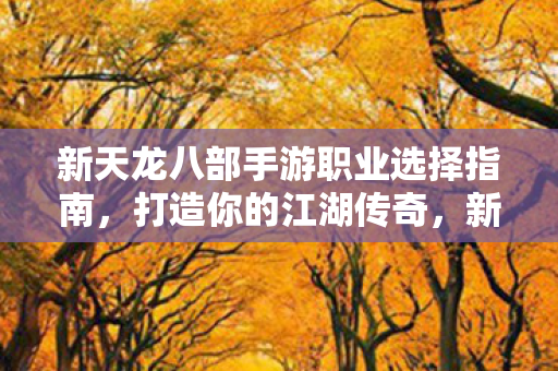新天龙八部手游职业选择指南，打造你的江湖传奇，新天龙八部手游职业选择全攻略，打造专属江湖传奇