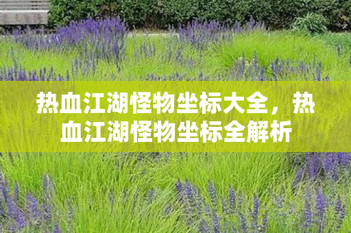 热血江湖怪物坐标大全,热血江湖怪物坐标全解析 热血江湖怪物坐标大全,热血江湖怪物坐标全解析