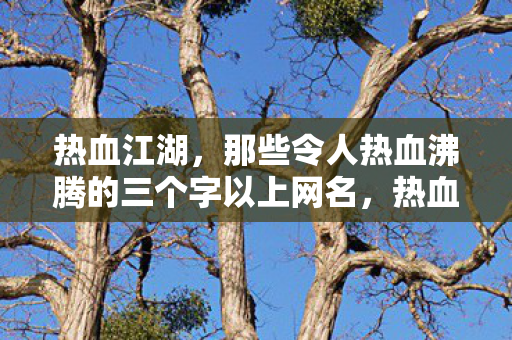 热血江湖,那些令人热血沸腾的三个字以上网名,热血江湖,那些令人血脉喷张的三个字以上网名 热血江湖,那些令人热血沸腾的三个字以上网名,热血江湖,那些令人血脉喷张的三个字以上网名