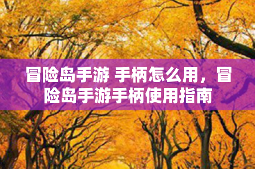 冒险岛手游 手柄怎么用，冒险岛手游手柄使用指南