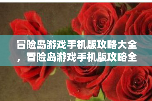 冒险岛游戏手机版攻略大全，冒险岛游戏手机版攻略全解析