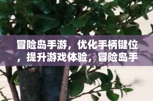 冒险岛手游，优化手柄键位，提升游戏体验，冒险岛手游优化手柄键位，提升游戏体验