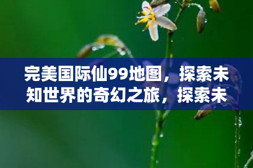 完美国际仙99地图，探索未知世界的奇幻之旅，探索未知世界的奇幻之旅，完美国际仙99地图