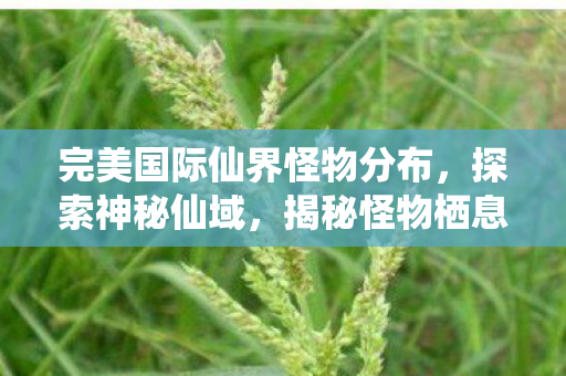完美国际仙界怪物分布，探索神秘仙域，揭秘怪物栖息地，揭秘完美国际仙界怪物分布，探索神秘仙域