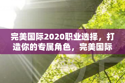 完美国际2020职业选择，打造你的专属角色，完美国际2020职业选择指南，打造你的专属角色